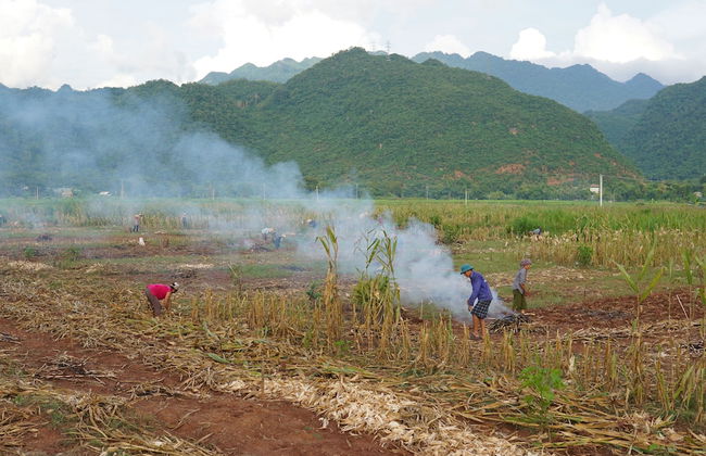 Mai Hich Farmstay - Foto 12