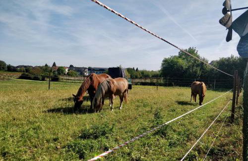 Haus im Grünen - Foto 40