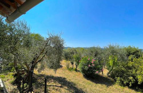 Provençal farmhouse 6 guests Peymeinade near Cannes - Foto 29