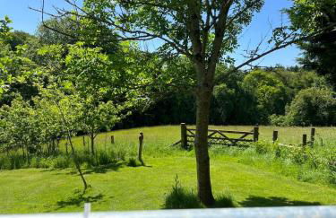 Devon Country Retreat The Linhay at Collaton Farm - Foto 19