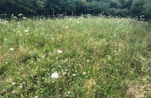 Erholung auf dem Land zwischen Ostsee und Schlei - Foto 19
