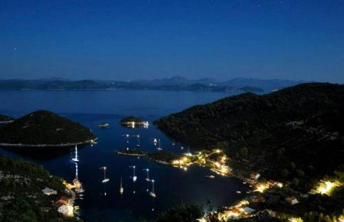 Apartment Danijela Mljet - Studio Apartment With Balcony and Sea View - Foto 28