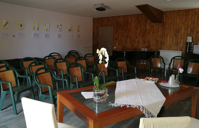 Viola nel Parco - Foto 73