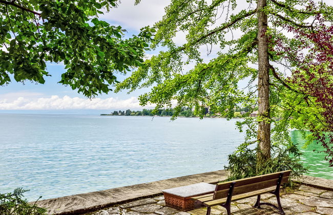 Duck House - Foto 32