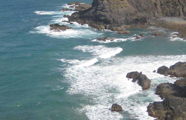 Excursión a la Costa Vicentina - Foto 1