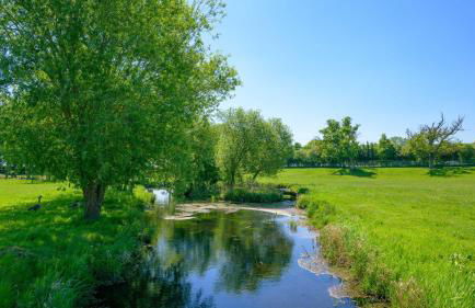 SPA Cottage With Mineral Water - Foto 24
