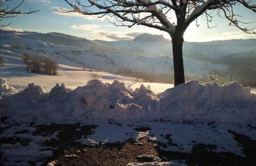 Fra Bosco e Cielo B&B - Foto 34