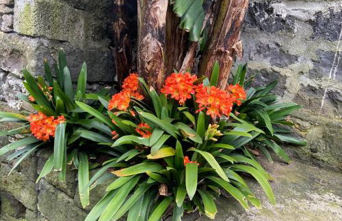 Maria's Haven - Photo 69