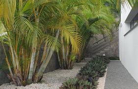 Villa Brava Atlântico - Foto 53