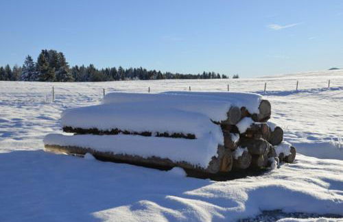 Langegger Alm - Sennerstube - Foto 21