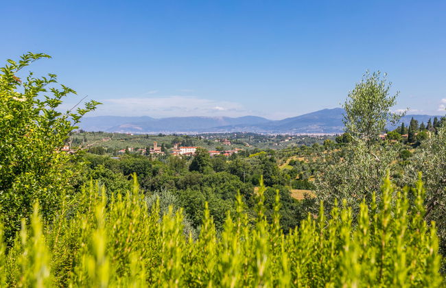 Poggio de'Galli - Foto 49