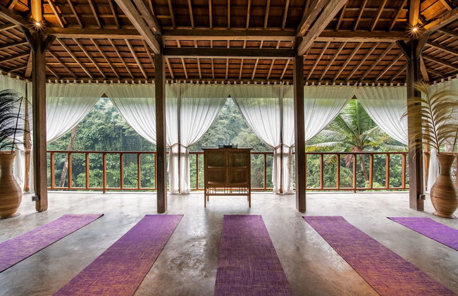 Bedulu Cliff Estate Ubud - Tree Top - Foto 62