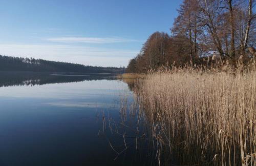 Wikno 3 Woda i Las - Foto 24