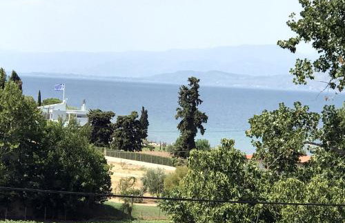 Studio Kalypso - Foto 8