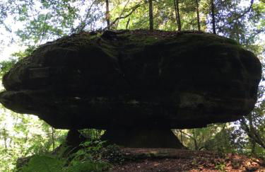 Sebastiana's FeWo - Foto 22