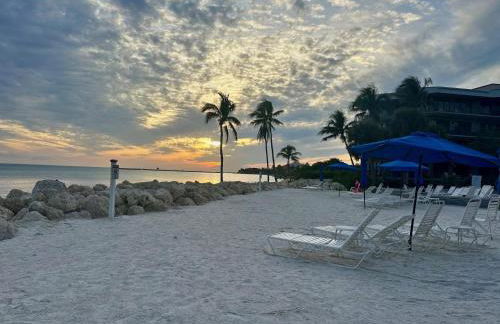 Paradise Found Cayo Hueso - Foto 37