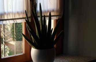 Casa Miasino - vicino Orta San Giulio - 200 sqm - Foto 35