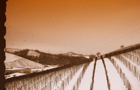 Mongalletto - Foto 69