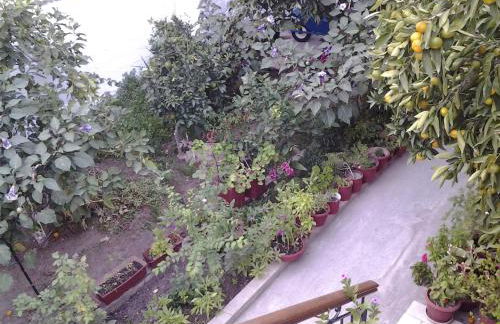 Studios Maro - Foto 28