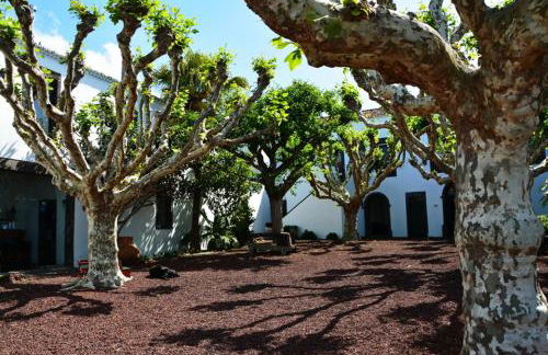 Convento de São Francisco - Photo 45