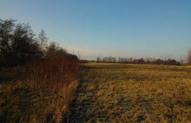 Tranquil Seaside Haven-by Traum - Foto 14