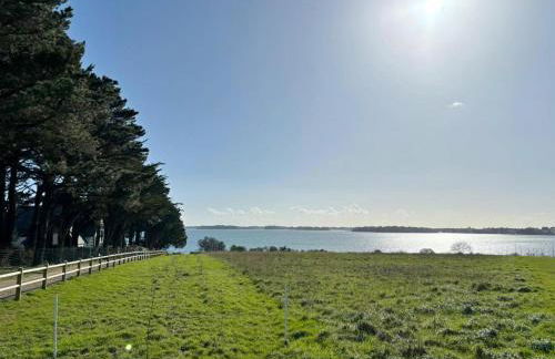 Des chevreuils - Photo 24