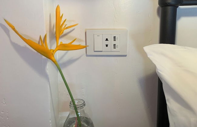 Wayans Siargao - Photo 10