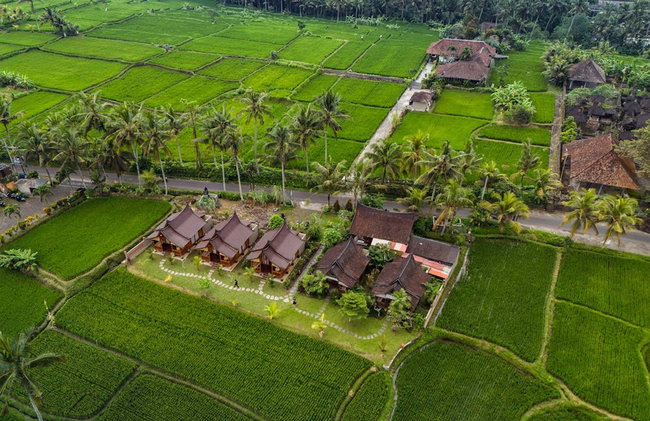 Mathura Ubud - Foto 43