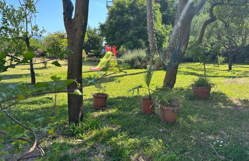 Gradevole studio in corte - Foto 16