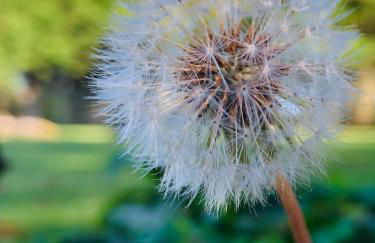 Downe Cottages - Foto 45