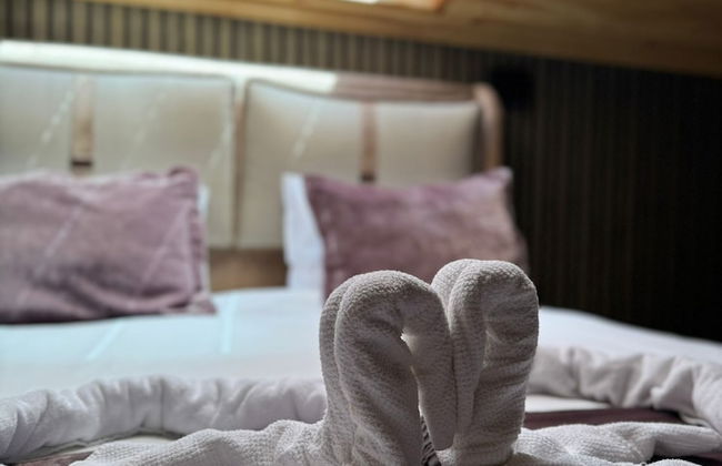 Aydogdu Suit - Photo 1