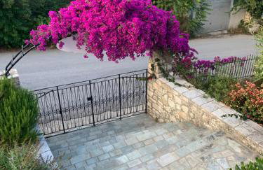 Harry's Studios - Photo 19