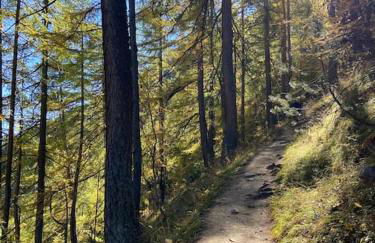 Relax in montagna - Foto 32