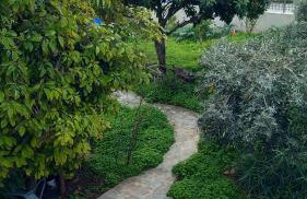 Pavlos apartment - Foto 32