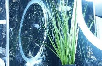 Luxury Apartments - Wohnung IC - Luxus-Apartment - Foto 20