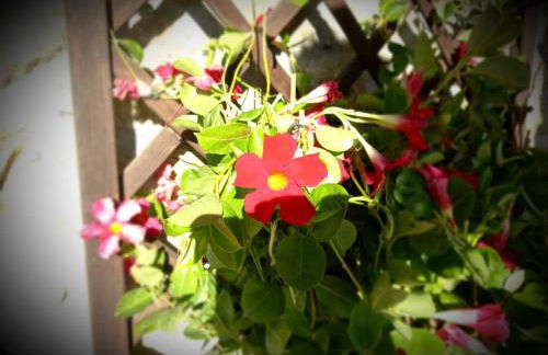 Agriturismo La Casina - Foto 14