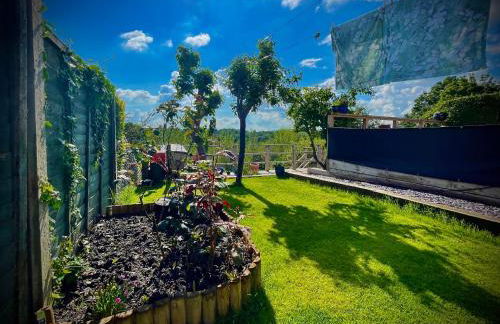 Countryside in the Town. - Photo 3