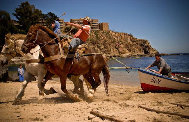 Valparaíso Northern Coast Tour - Photo 4