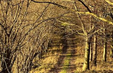 Perfectly Positioned Hambleden House - Foto 27