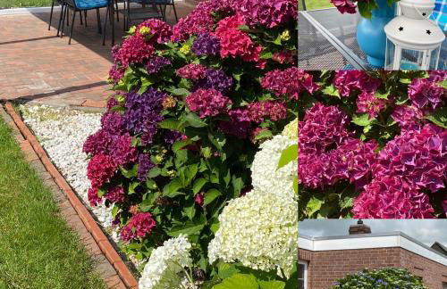 Ferienhaus Sandhöcht - Photo 41