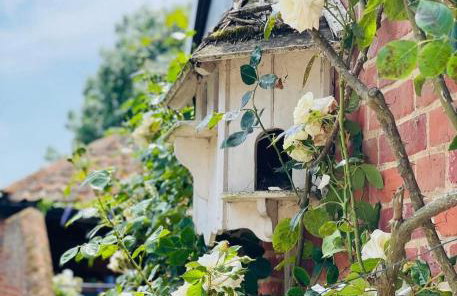 New Luxury barn with pool table nr southwold - Foto 46