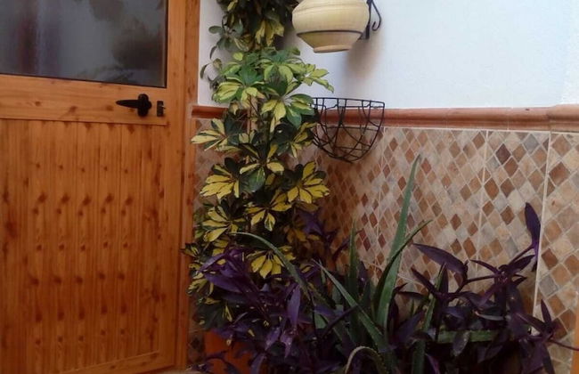 Apartamentos Virgen de Villaverde - Photo 46