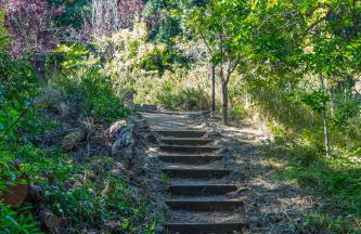 10 Acre Estate with Views Teahouse and Pickleball Court - Foto 66