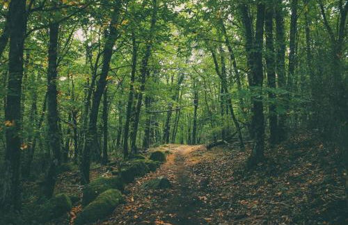 Casa Rural San Marcos - Foto 18