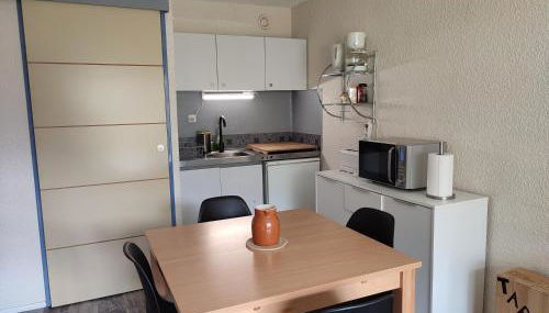 Pla d' Adet, appart 4 personnes Résidence le Grand Stemm , station de ski Saint Lary , pieds des pistes et randonnées - Photo 2