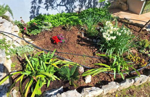 House Tea in a beautiful nature - Foto 70