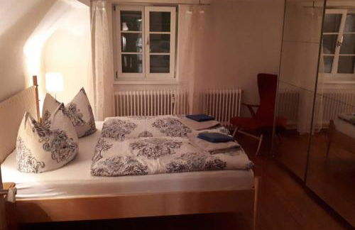 Gemütliche Altstadtwohnung in Dinkelsbühl - Foto 13