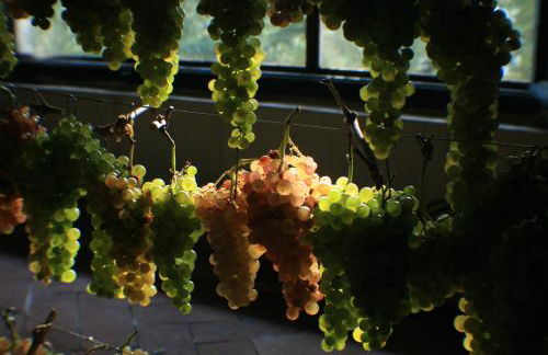 Villa S.Andrea - Foto 52