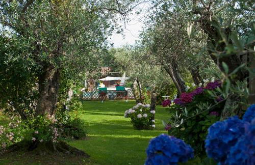 Azienda agricola Della Mezzaluna - Foto 43