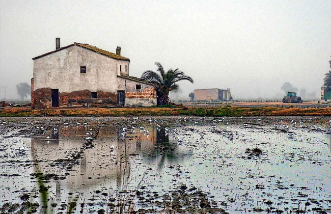 Excursion dans le delta de l'Èbre + Balade en catamaran - Photo 1